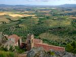 mont876.jpg (4799 byte)